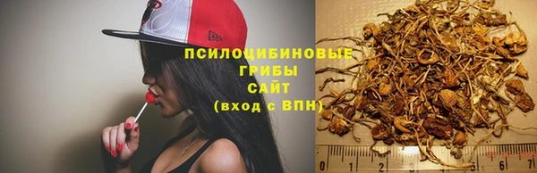 дживик Горняк