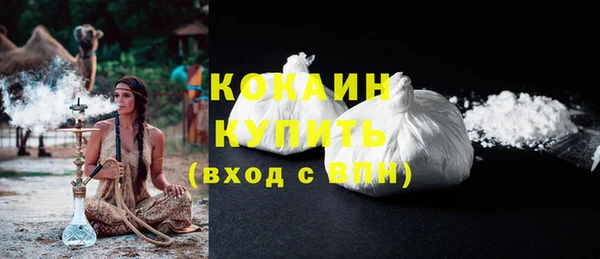 Альфа ПВП Гусев
