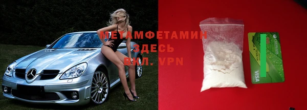 шишки Горно-Алтайск