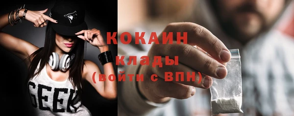 шишки Горно-Алтайск