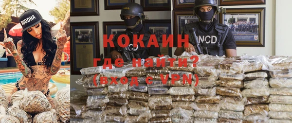 шишки Горно-Алтайск