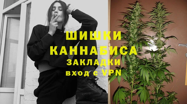 шишки Горно-Алтайск