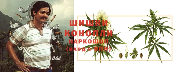 дживик Горняк