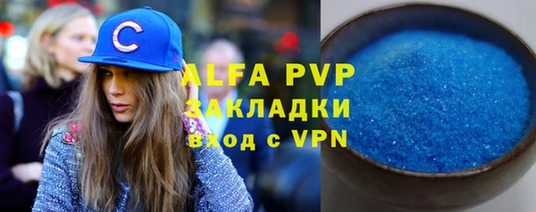 Альфа ПВП Гусев