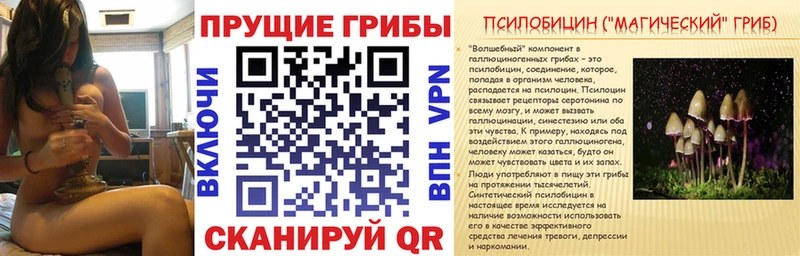Галлюциногенные грибы прущие грибы  Купить  Карпинск 